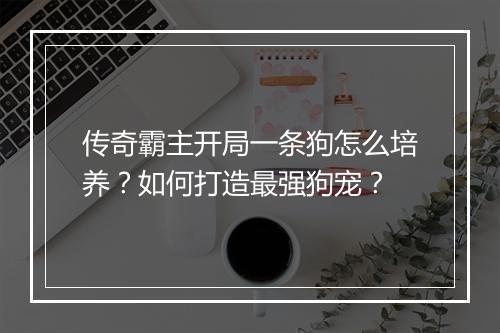 传奇霸主开局一条狗怎么培养？如何打造最强狗宠？