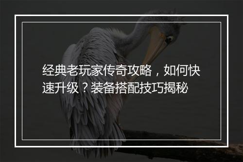 经典老玩家传奇攻略，如何快速升级？装备搭配技巧揭秘