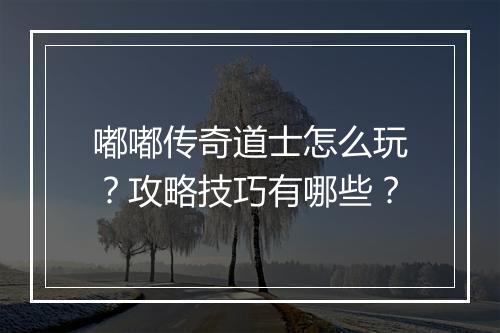 嘟嘟传奇道士怎么玩？攻略技巧有哪些？