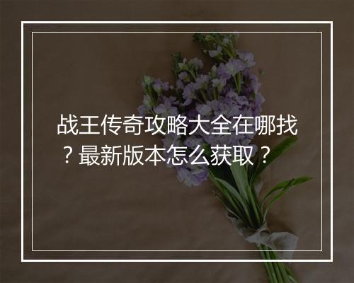 战王传奇攻略大全在哪找？最新版本怎么获取？