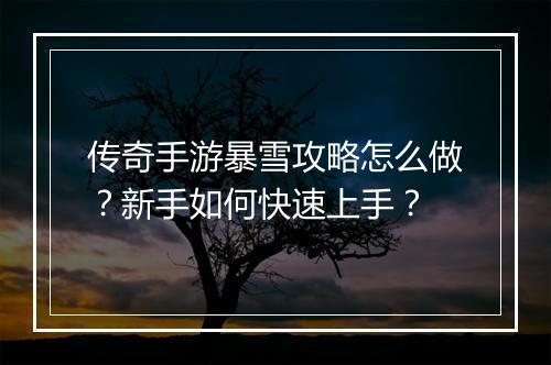传奇手游暴雪攻略怎么做？新手如何快速上手？