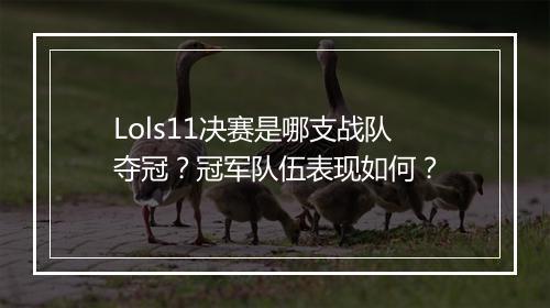 Lols11决赛是哪支战队夺冠？冠军队伍表现如何？