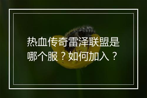 热血传奇雷泽联盟是哪个服？如何加入？