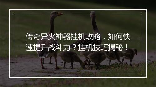 传奇异火神器挂机攻略，如何快速提升战斗力？挂机技巧揭秘！