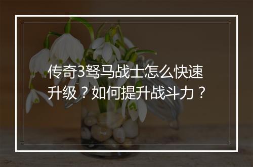 传奇3驽马战士怎么快速升级？如何提升战斗力？