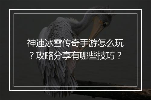 神速冰雪传奇手游怎么玩？攻略分享有哪些技巧？
