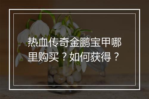热血传奇金鹏宝甲哪里购买？如何获得？
