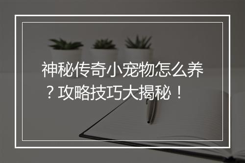 神秘传奇小宠物怎么养？攻略技巧大揭秘！