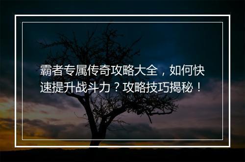 霸者专属传奇攻略大全，如何快速提升战斗力？攻略技巧揭秘！