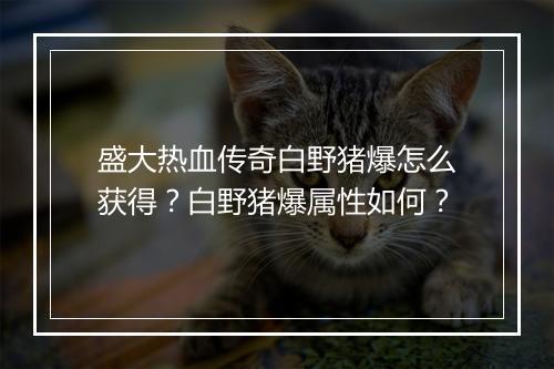 盛大热血传奇白野猪爆怎么获得？白野猪爆属性如何？