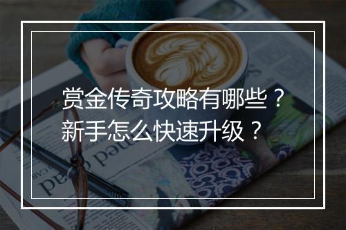 赏金传奇攻略有哪些？新手怎么快速升级？