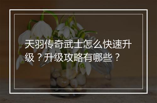天羽传奇武士怎么快速升级？升级攻略有哪些？