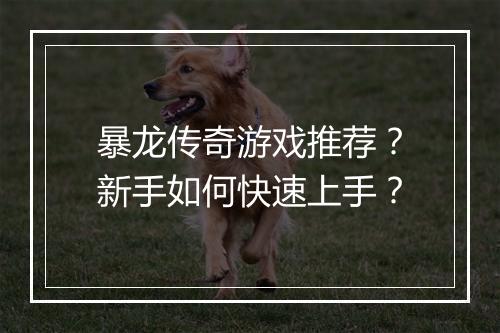 暴龙传奇游戏推荐？新手如何快速上手？