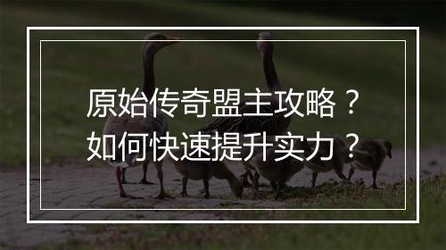 原始传奇盟主攻略？如何快速提升实力？