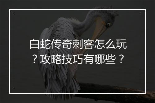 白蛇传奇刺客怎么玩？攻略技巧有哪些？