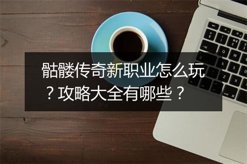 骷髅传奇新职业怎么玩？攻略大全有哪些？
