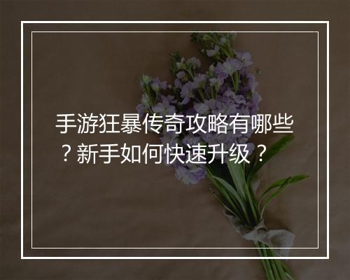 手游狂暴传奇攻略有哪些？新手如何快速升级？