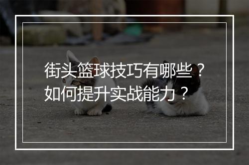 街头篮球技巧有哪些？如何提升实战能力？