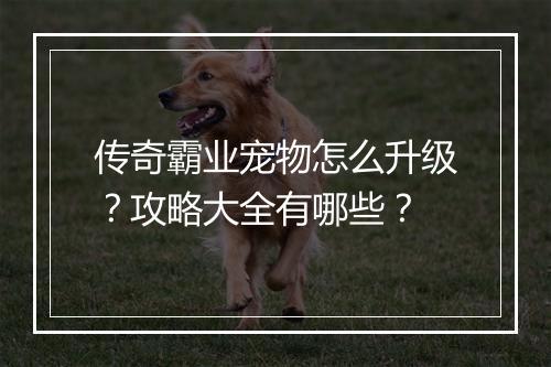 传奇霸业宠物怎么升级？攻略大全有哪些？