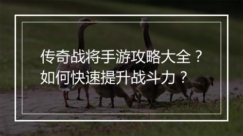 传奇战将手游攻略大全？如何快速提升战斗力？