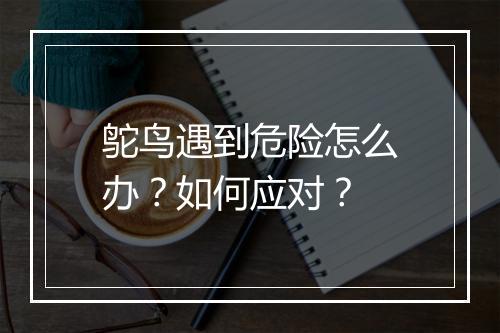 鸵鸟遇到危险怎么办？如何应对？