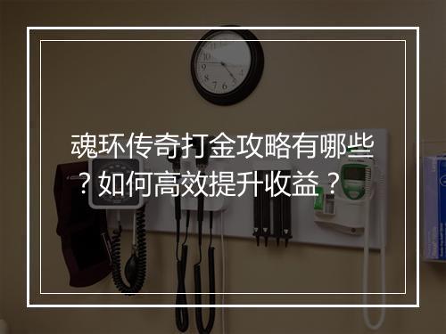 魂环传奇打金攻略有哪些？如何高效提升收益？