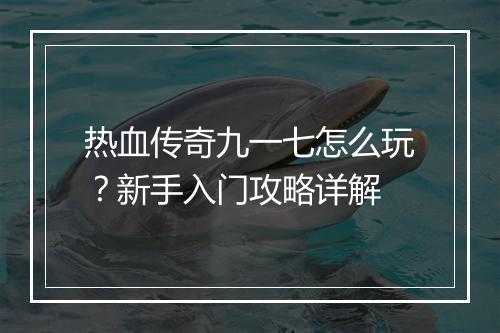 热血传奇九一七怎么玩？新手入门攻略详解