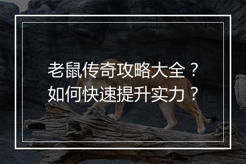 老鼠传奇攻略大全？如何快速提升实力？