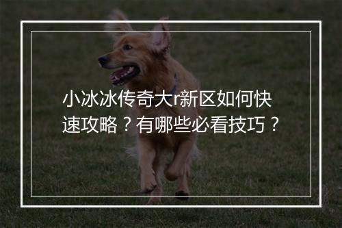 小冰冰传奇大r新区如何快速攻略？有哪些必看技巧？