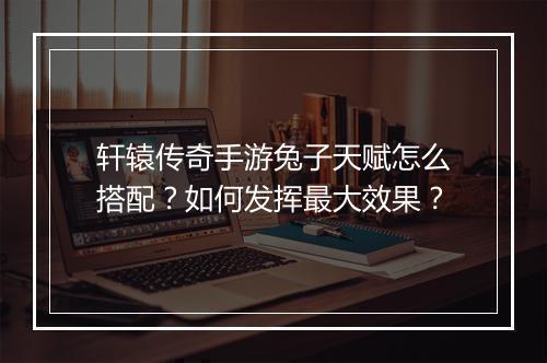 轩辕传奇手游兔子天赋怎么搭配？如何发挥最大效果？