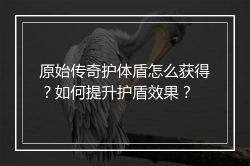 原始传奇护体盾怎么获得？如何提升护盾效果？