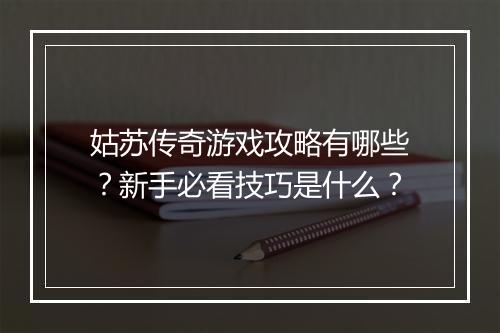 姑苏传奇游戏攻略有哪些？新手必看技巧是什么？