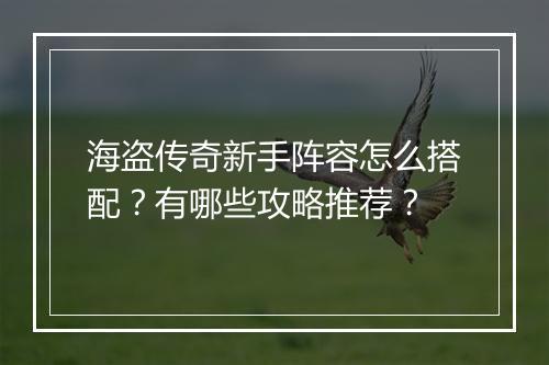 海盗传奇新手阵容怎么搭配？有哪些攻略推荐？