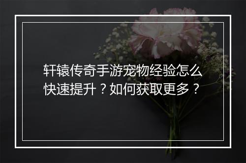 轩辕传奇手游宠物经验怎么快速提升？如何获取更多？