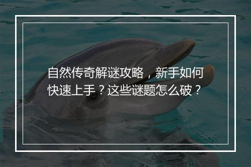 自然传奇解谜攻略，新手如何快速上手？这些谜题怎么破？
