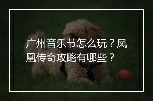 广州音乐节怎么玩？凤凰传奇攻略有哪些？