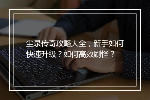 尘录传奇攻略大全，新手如何快速升级？如何高效刷怪？