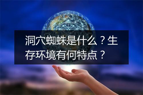 洞穴蜘蛛是什么？生存环境有何特点？