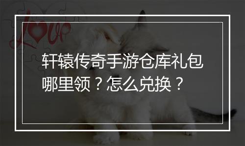 轩辕传奇手游仓库礼包哪里领？怎么兑换？
