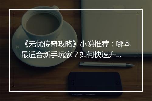 《无忧传奇攻略》小说推荐：哪本最适合新手玩家？如何快速升级？