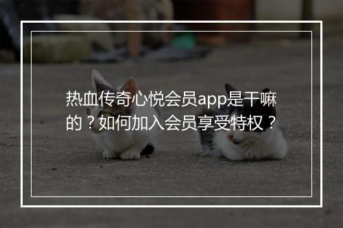热血传奇心悦会员app是干嘛的？如何加入会员享受特权？