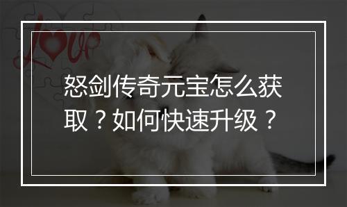 怒剑传奇元宝怎么获取？如何快速升级？