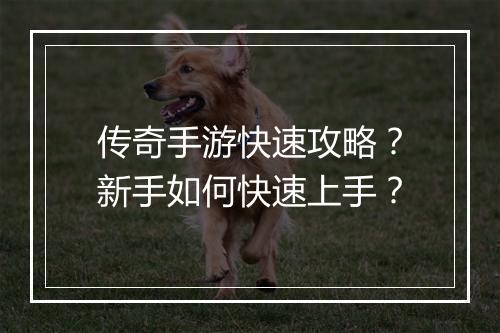 传奇手游快速攻略？新手如何快速上手？