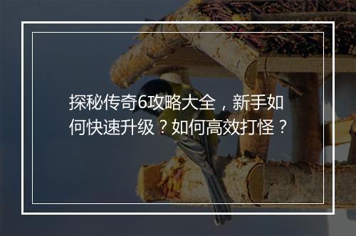 探秘传奇6攻略大全，新手如何快速升级？如何高效打怪？