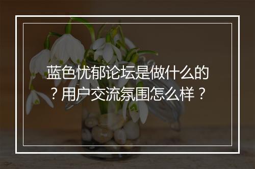 蓝色忧郁论坛是做什么的？用户交流氛围怎么样？
