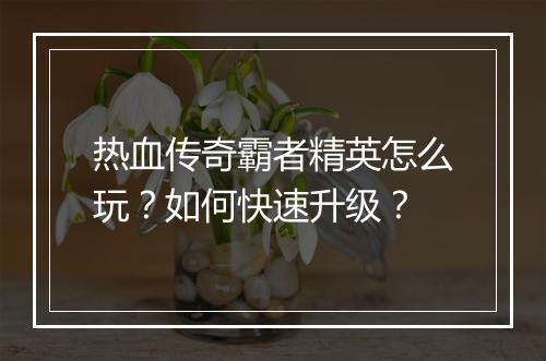 热血传奇霸者精英怎么玩？如何快速升级？