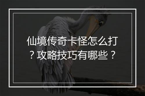 仙境传奇卡怪怎么打？攻略技巧有哪些？