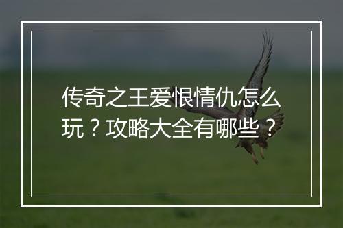 传奇之王爱恨情仇怎么玩？攻略大全有哪些？