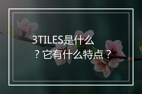 3TILES是什么？它有什么特点？