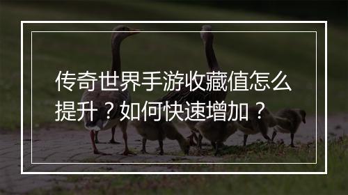 传奇世界手游收藏值怎么提升？如何快速增加？